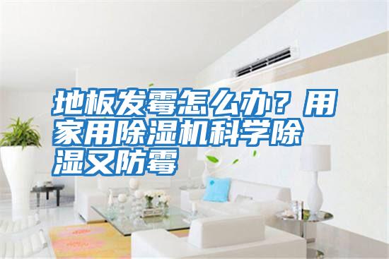 地板發霉怎么辦？用家用除濕機科學除濕又防霉