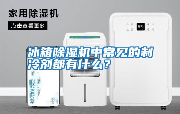 冰箱除濕機中常見的制冷劑都有什么?