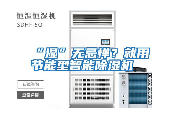 “濕”無忌憚？就用節能型智能除濕機