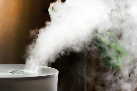 木材干燥,應(yīng)該干燥到什么程度?