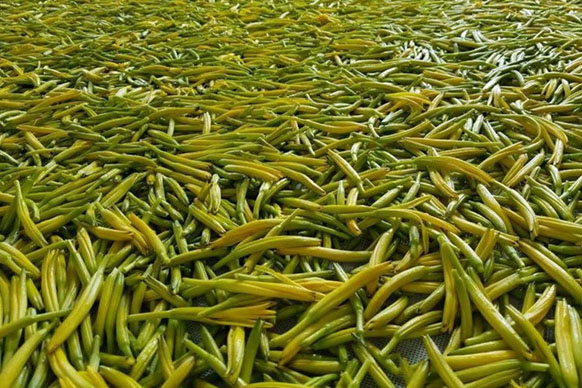 無(wú)硫金針菜烘干如何保持品相？不發(fā)黑？