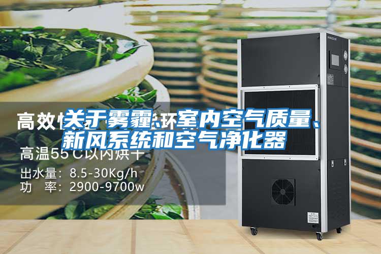 關于霧霾、室內空氣質量、新風系統和空氣凈化器