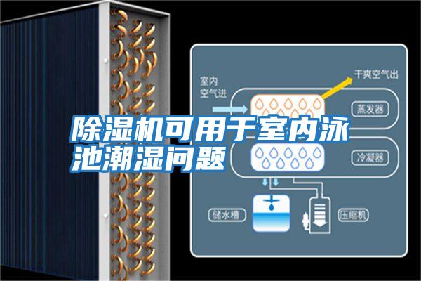 除濕機(jī)可用于室內(nèi)泳池潮濕問(wèn)題