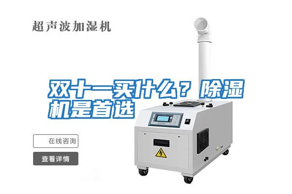 雙十一買什么？除濕機是首選