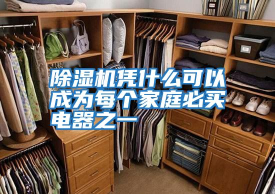 除濕機(jī)憑什么可以成為每個(gè)家庭必買(mǎi)電器之一