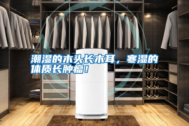 潮濕的木頭長木耳，寒濕的體質長腫瘤！