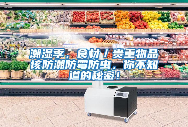 潮濕季，食材／貴重物品該防潮防霉防蟲，你不知道的秘密！