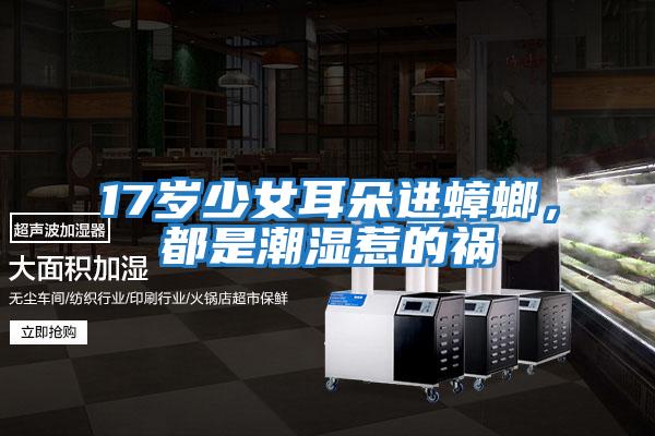 17歲少女耳朵進蟑螂，都是潮濕惹的禍