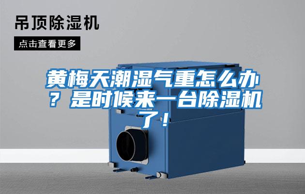 黃梅天潮濕氣重怎么辦？是時候來一臺除濕機了！