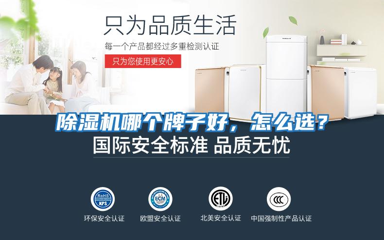 除濕機哪個牌子好，怎么選？