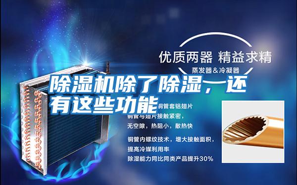 除濕機除了除濕,還有這些功能