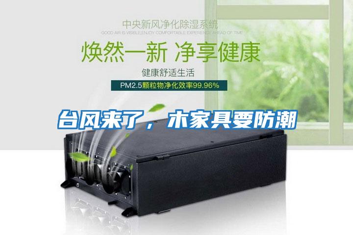 臺風來了,木家具要防潮