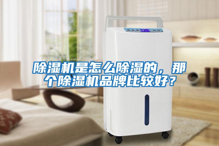 除濕機是怎么除濕的，那個除濕機品牌比較好？