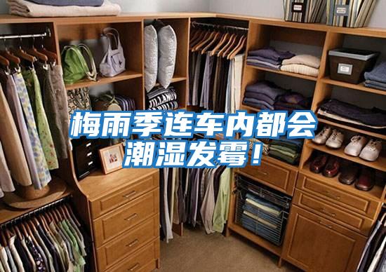 梅雨季連車內都會潮濕發霉！