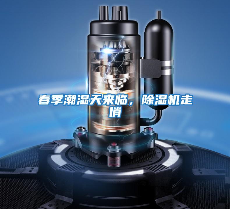 春季潮濕天來臨，除濕機走俏