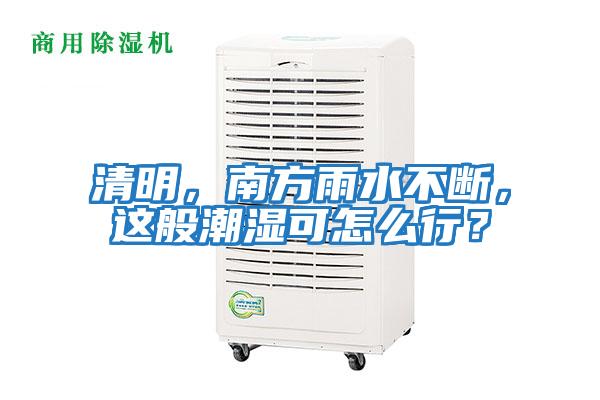 清明,南方雨水不斷,這般潮濕可怎么行?