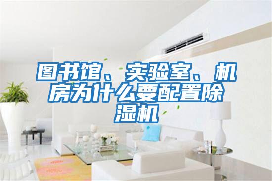圖書館、實(shí)驗(yàn)室、機(jī)房為什么要配置除濕機(jī)
