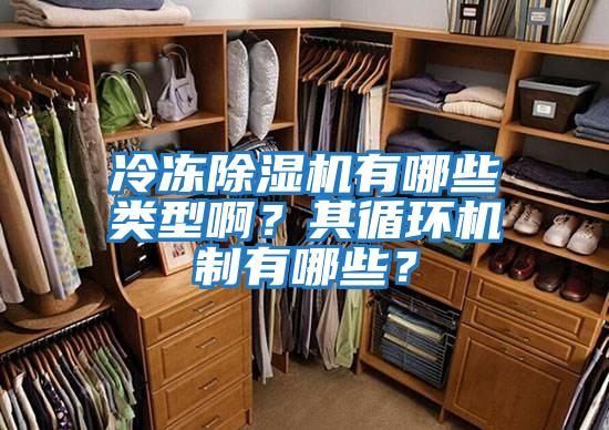 冷凍除濕機(jī)有哪些類型啊？其循環(huán)機(jī)制有哪些？