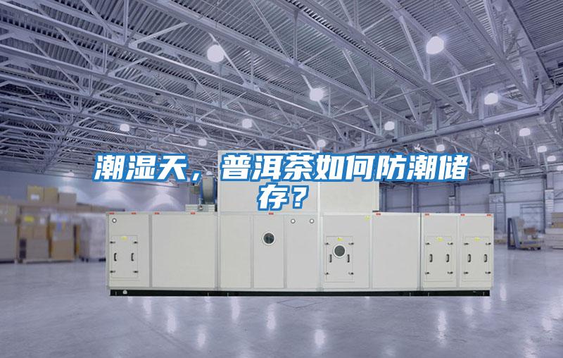 潮濕天，普洱茶如何防潮儲(chǔ)存？