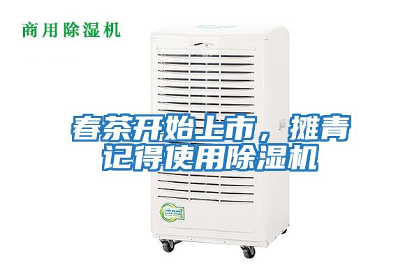 春茶開始上市，攤青記得使用除濕機