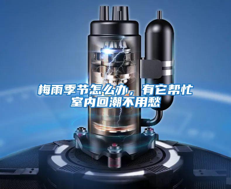 梅雨季節(jié)怎么辦,有它幫忙室內(nèi)回潮不用愁