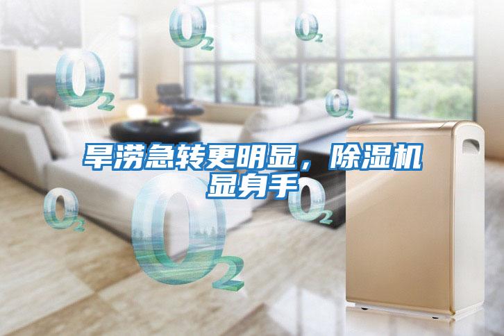 旱澇急轉更明顯，除濕機顯身手