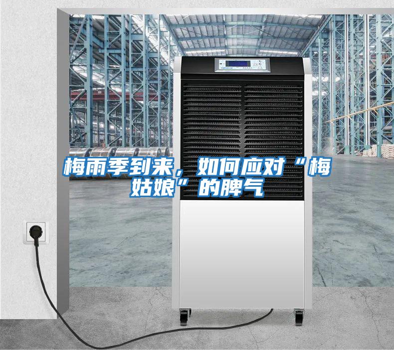 梅雨季到來,如何應對“梅姑娘”的脾氣