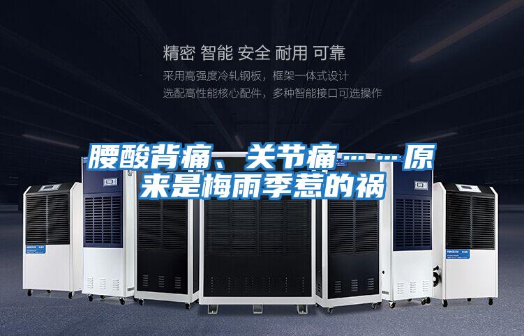 腰酸背痛、關節痛……原來是梅雨季惹的禍