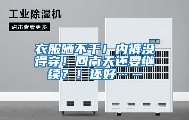 衣服曬不干!內(nèi)褲沒得穿!回南天還要繼續(xù)?!還好……