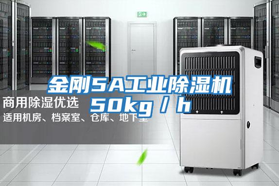 金剛5A工業(yè)除濕機(jī)50kg/h