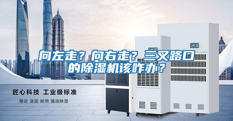 向左走？向右走？三叉路口的除濕機該咋辦？