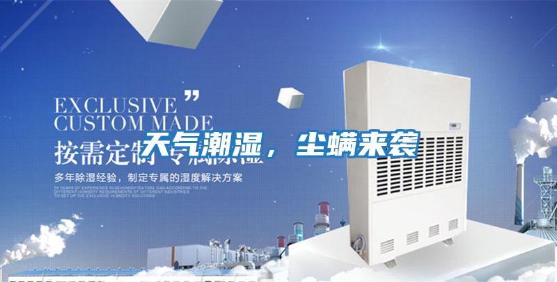 天氣潮濕，塵螨來(lái)襲