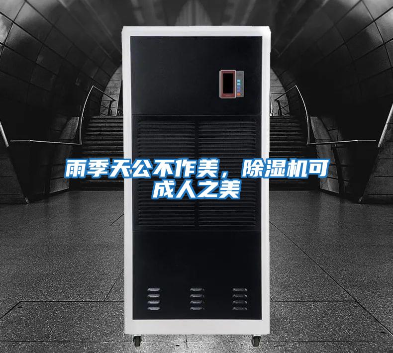 雨季天公不作美，除濕機可成人之美