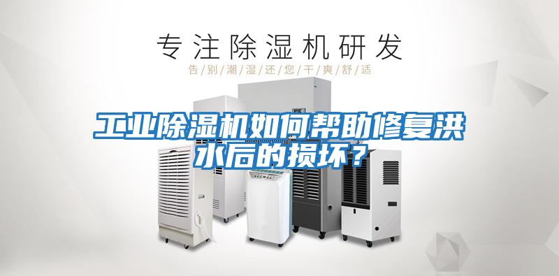 工業除濕機如何幫助修復洪水后的損壞？