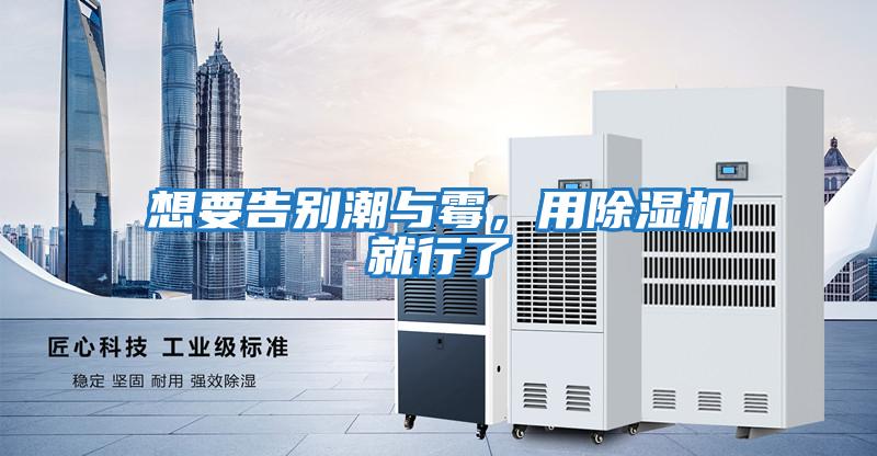 想要告別潮與霉,用除濕機就行了