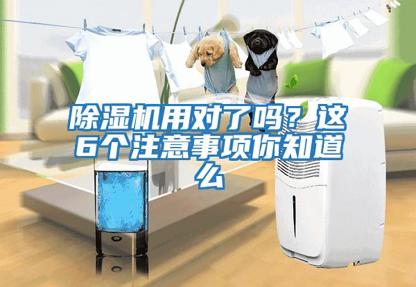 除濕機用對了嗎?這6個注意事項你知道么
