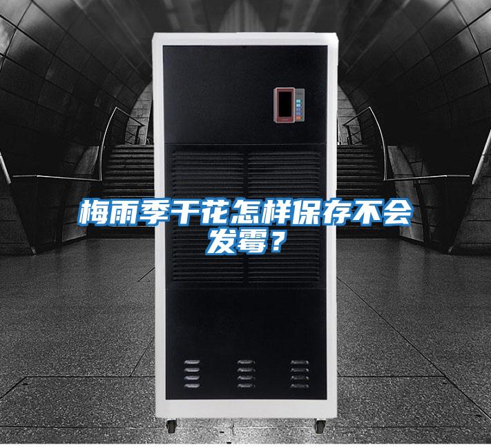 梅雨季干花怎樣保存不會發霉？