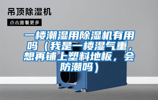 一樓潮濕用除濕機(jī)有用嗎（我是一樓濕氣重，想再鋪上塑料地板，會(huì)防潮嗎）