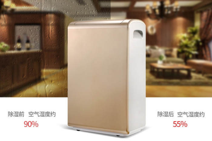 跨年度的陰雨,潮濕來襲