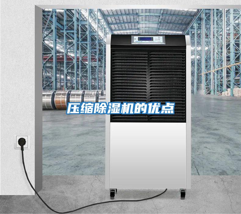 壓縮除濕機的優(yōu)點