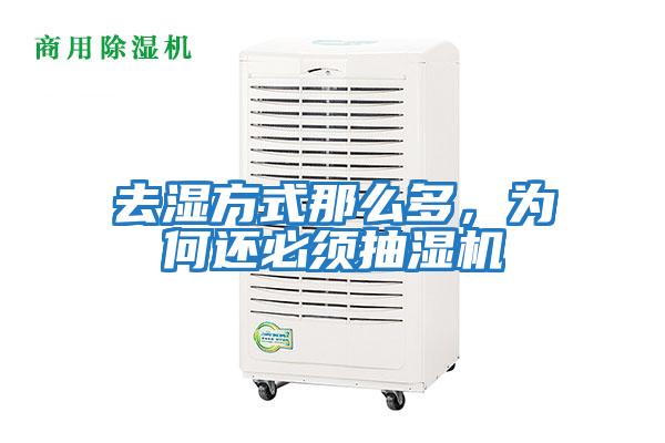 去濕方式那么多，為何還必須抽濕機(jī)