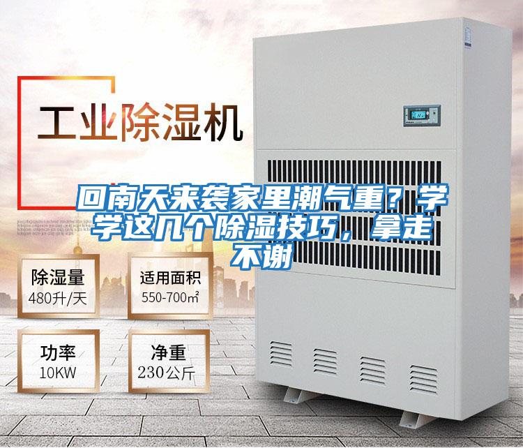 回南天來襲家里潮氣重？學學這幾個除濕技巧，拿走不謝