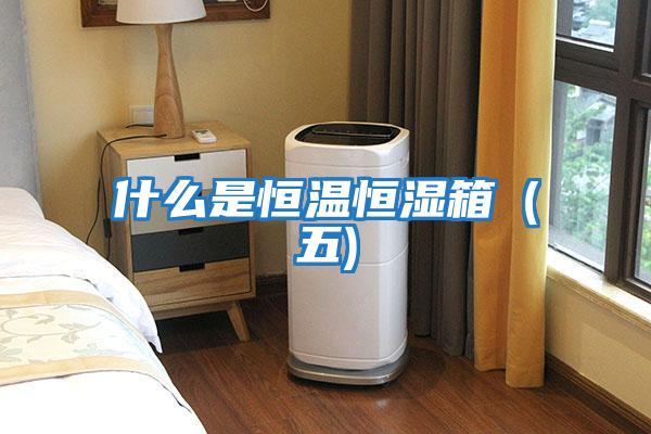 什么是恒溫恒濕箱(五)