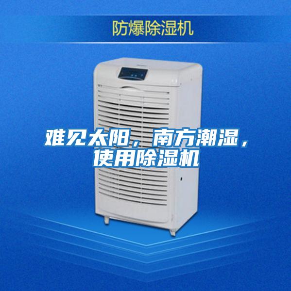 難見太陽，南方潮濕，使用除濕機