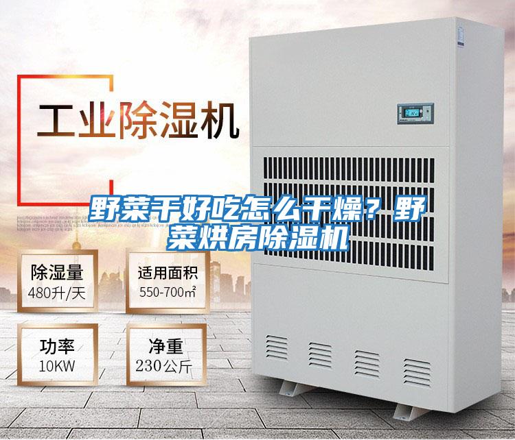 野菜干好吃怎么干燥？野菜烘房除濕機