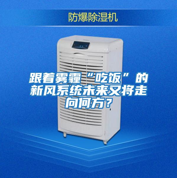 跟著霧霾“吃飯”的新風(fēng)系統(tǒng)未來(lái)又將走向何方？