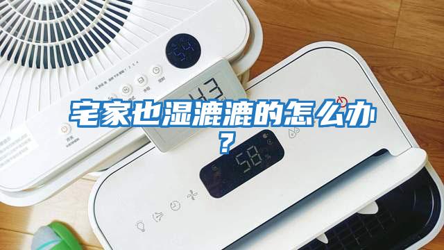 宅家也濕漉漉的怎么辦？