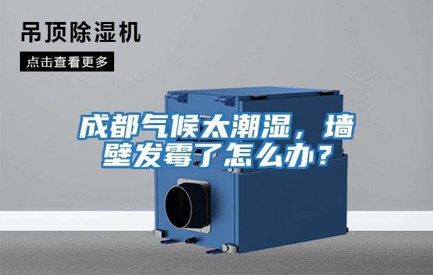 成都氣候太潮濕，墻壁發霉了怎么辦？