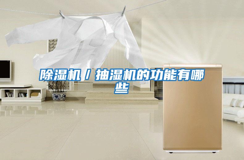 除濕機(jī)/抽濕機(jī)的功能有哪些