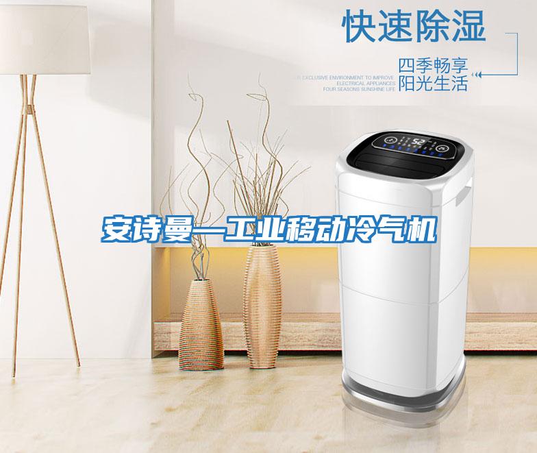 安詩曼—工業(yè)移動(dòng)冷氣機(jī)